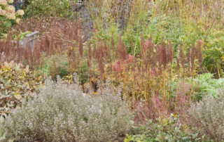 Long lasting foliage and interesting seed heads in a garden at The Olbrich Botanical Garden, Photo (c) Karen Bussolini