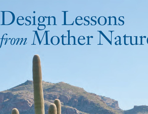 Design Lessons from Mother Nature