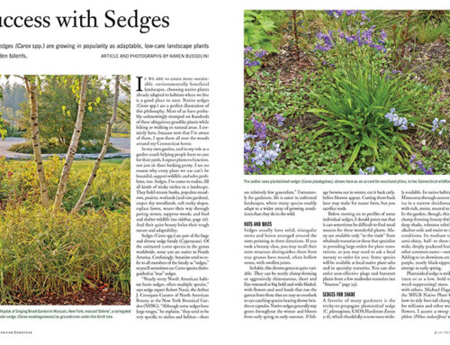 Success with Sedges