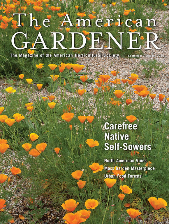 Cover of the American Gardener magazine September/October 2020 issue
