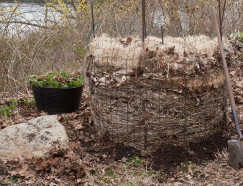 Make a Cheap, Easy, Lazy-Way Compost Bin