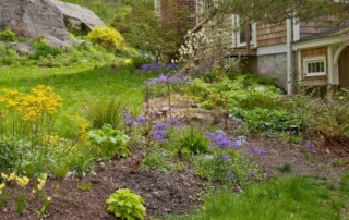 Rain garden, Photo (c) Karen Bussolini