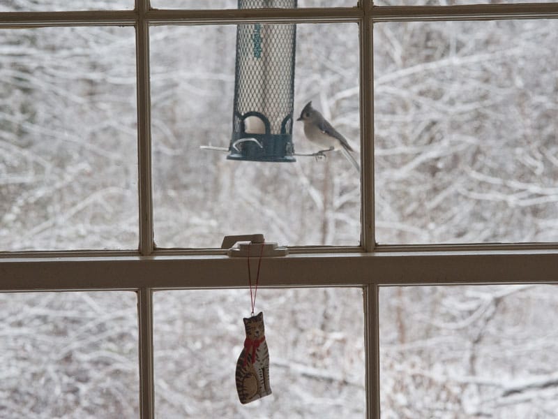 Bird feeder with tufted titmouse outside window in winter, Photo (c) Karen Bussolini