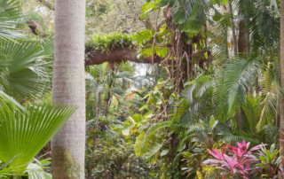 Tropical Sunken Gardens, St. Petersburg, FL, photo (c) Karen Bussolini