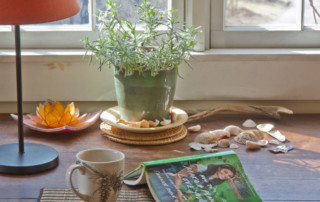 Photo of book How To Make a Plant Love You, lavender plant and tea on table, photo (c) Karen Bussolini