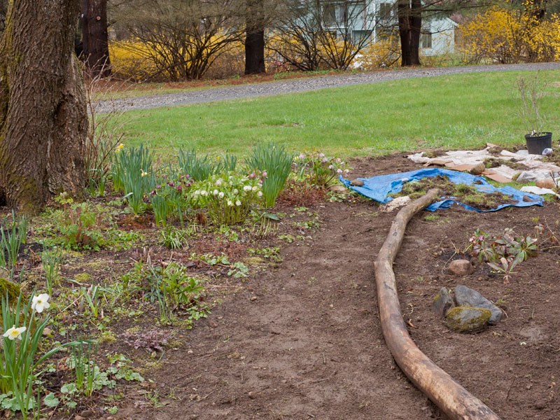 Curved log makes a good edging for woodland garden path. Photo Copyright Karen Bussolini