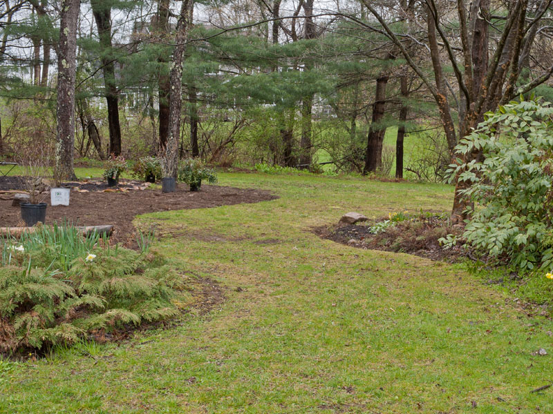 Wide grass path in new garden layoug