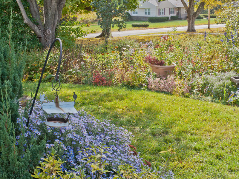 October pollinator garden, Photo (c) Karen Bussolini