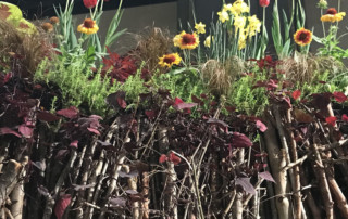 Photo of planted roof at CT Flower & Garden Show copyright Karen Bussolini