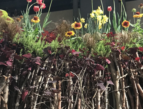 Connecticut Flower & Garden Show – Better Than Ever