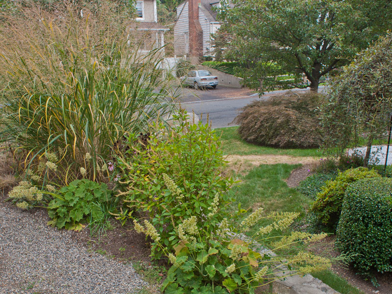 Sustainable front yard garden contrasts with sterile suburban landscaping. Photo (c) Karen Bussolini
