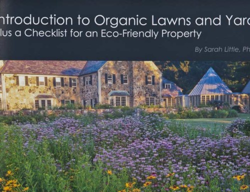 Introduction to Organic Lawns and Yard