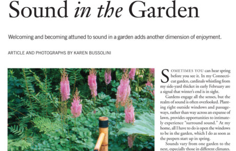 Sound in the Garden