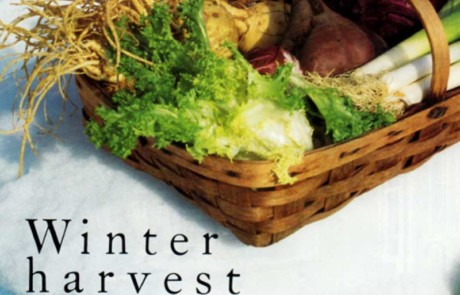 Winter Harvest