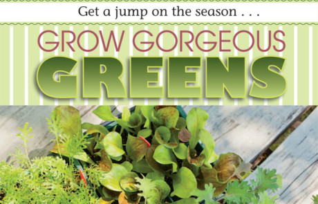 Grow Gorgeous Greens