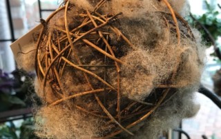 Nesting ball stuffed with natural fleece and dry plant material. Photo copyright Karen Bussolini