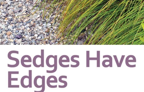 Sedges Have Edges