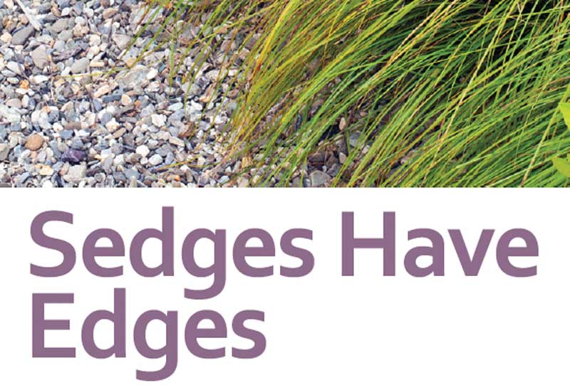 Sedges Have Edges